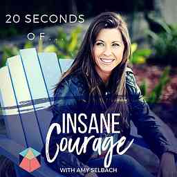 20 Seconds of Insane Courage cover logo