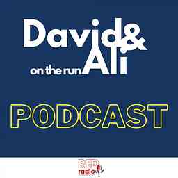 David & Ali on the run cover logo