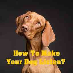 How To Make Your Dog Listen? logo