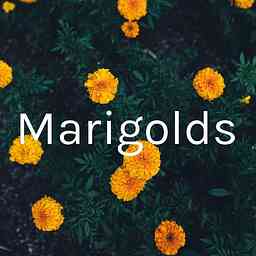 Marigolds cover logo