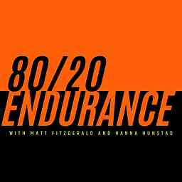 80/20 Endurance logo