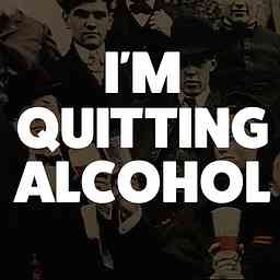I'm Quitting Alcohol cover logo